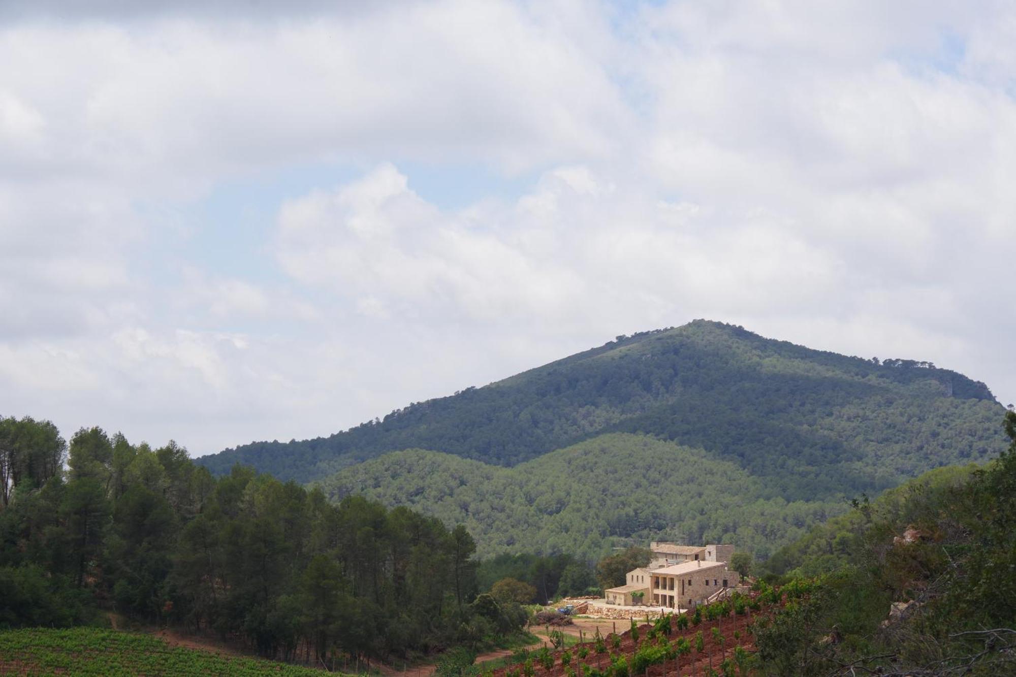 Torres De Selma - Eco Resort El Pla de Manlleu Luaran gambar